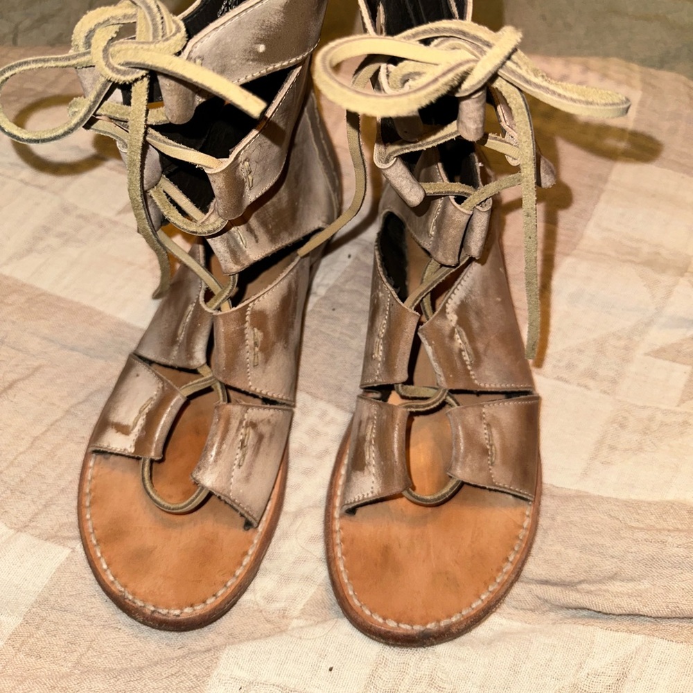 Freebrid Gladiator